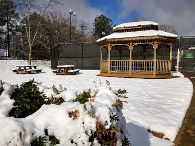 Pavilion in Winter